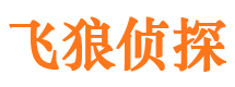 龙凤外遇调查取证